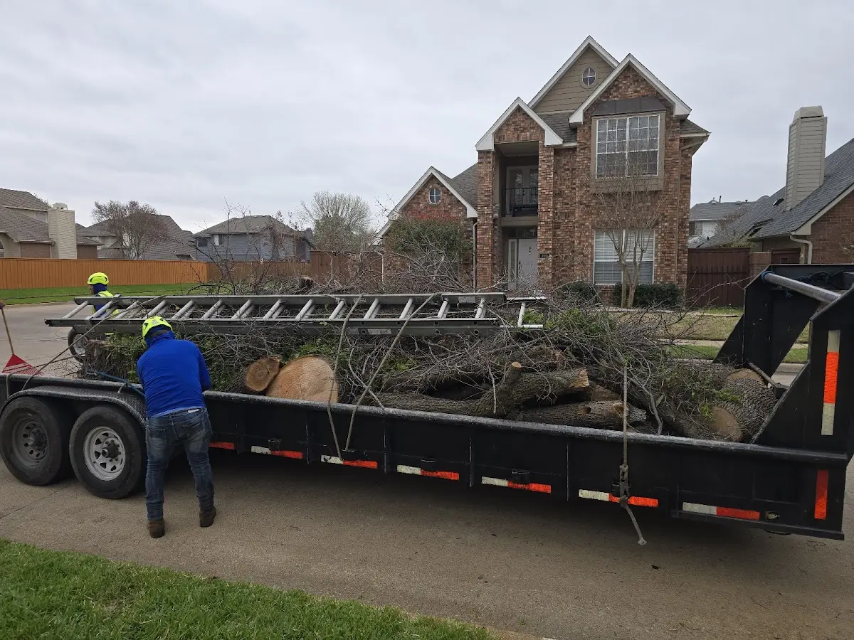 Expert Tree Fertilization with proper safety equipment in East Amherst